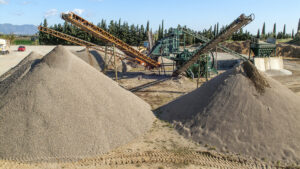 Planta El Far d'Emporda,Girona,Catalunya,Spain